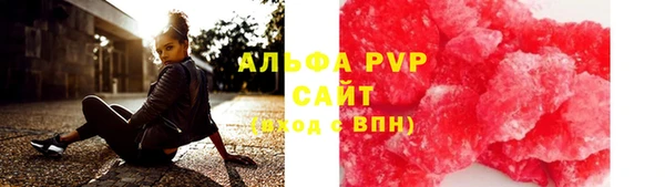 ПСИЛОЦИБИНОВЫЕ ГРИБЫ Аркадак