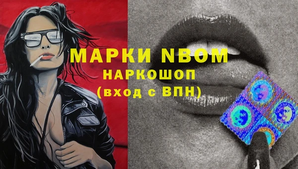 ПСИЛОЦИБИНОВЫЕ ГРИБЫ Аркадак